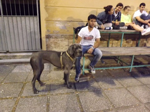 DSCF7280