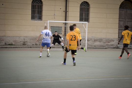 DSC0405-CMYK