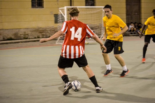 DSC2030-mod
