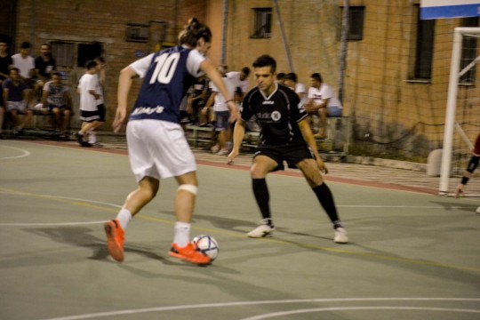 DSC3555-mod