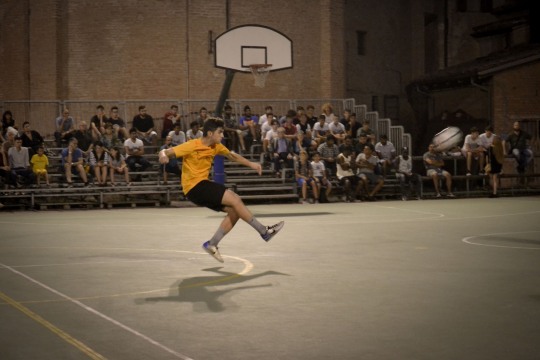 DSC4488mod