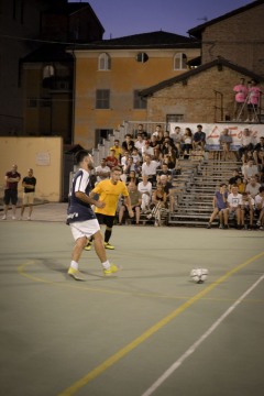 DSC4501mod