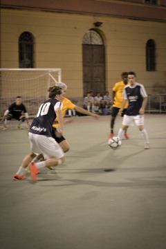 DSC4502mod