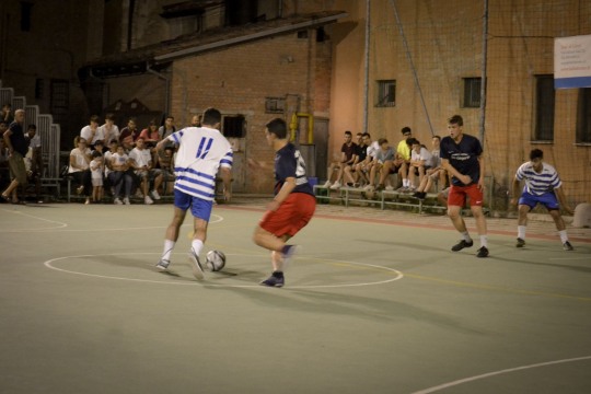 DSC4621mod