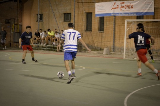 DSC4687mod