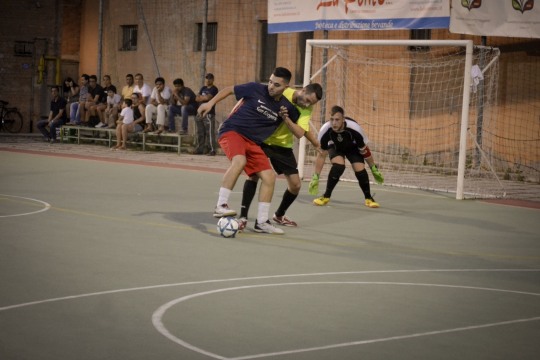 DSC5292mod