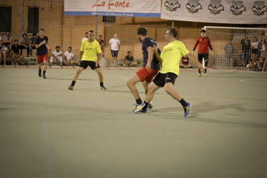 DSC5310mod