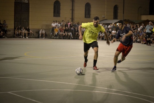 DSC5342mod
