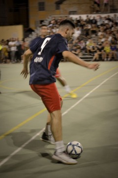 DSC5358mod