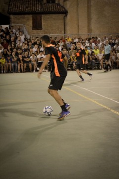 DSC5450mod