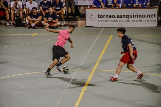 DSC6558